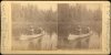 1880 stereograph.jpg