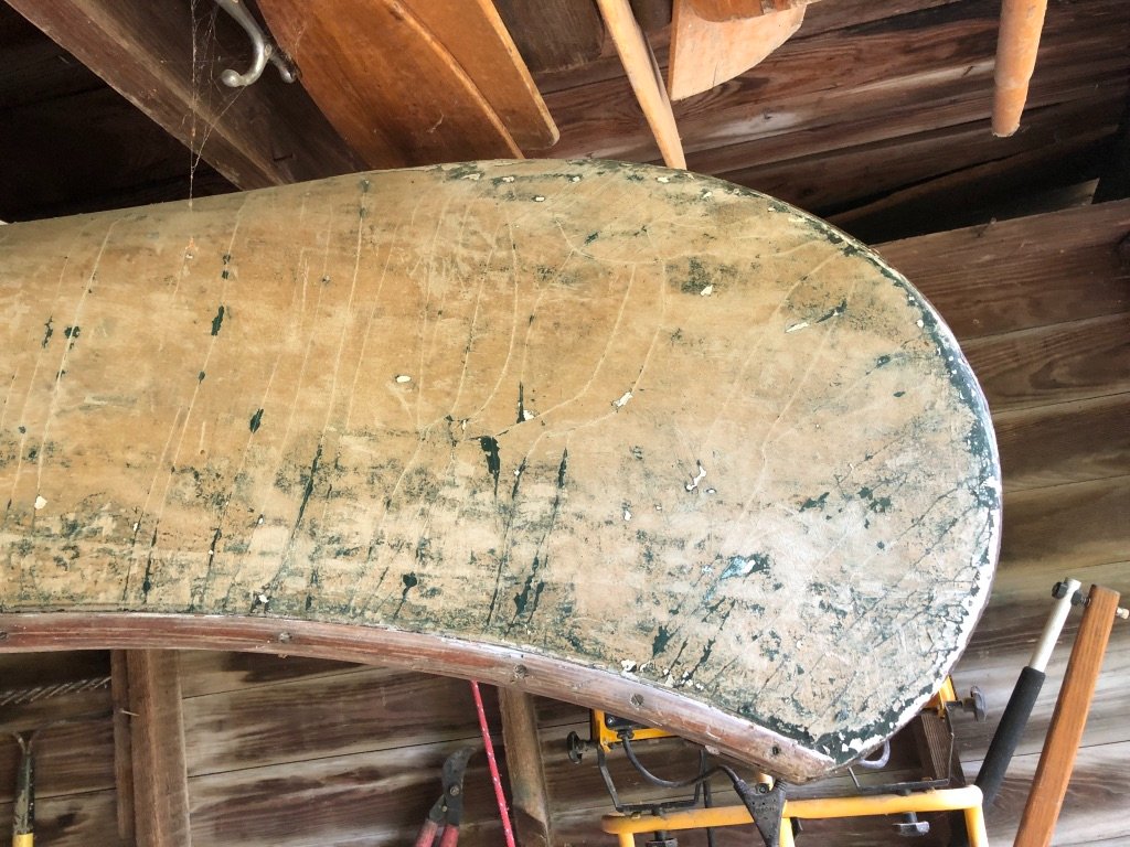 Canoe 2.jpg
