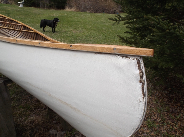 Canoe stem 3.jpg