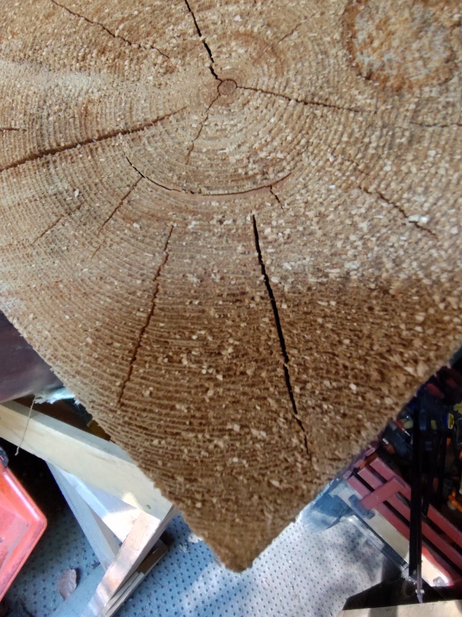 cedar 5x5 end growth rings.jpg