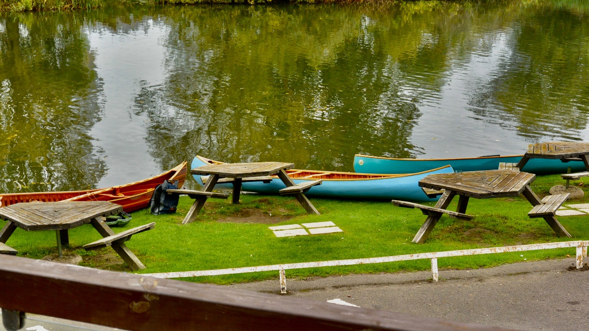 DSC_6547.jpeg