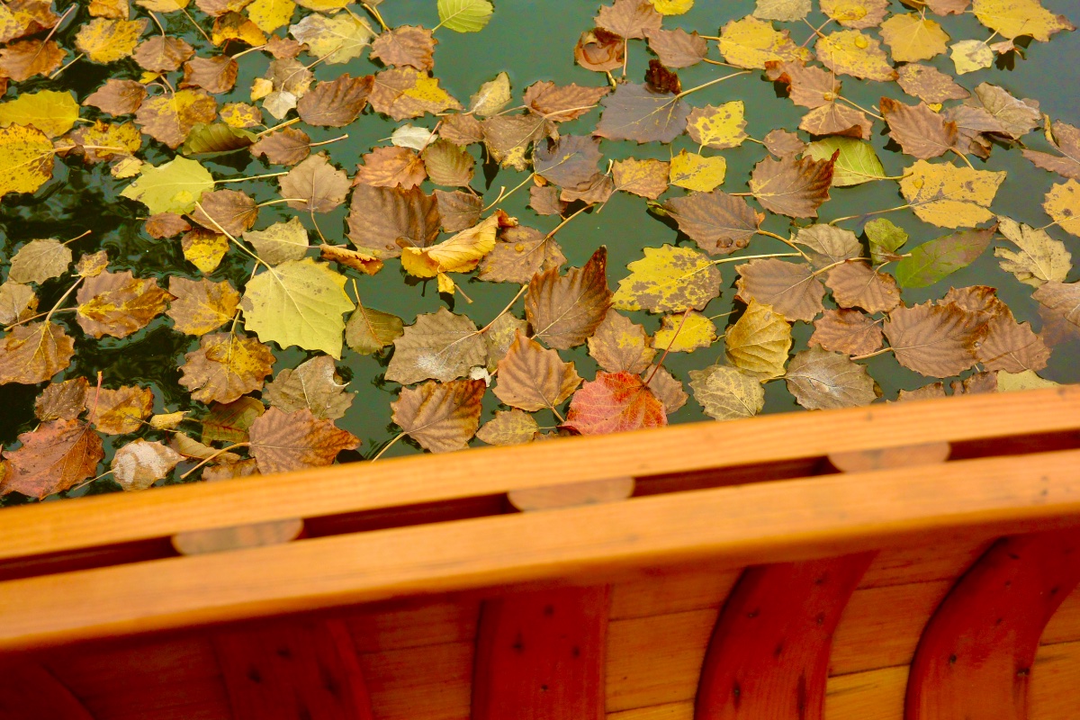 DSC_6608.jpeg