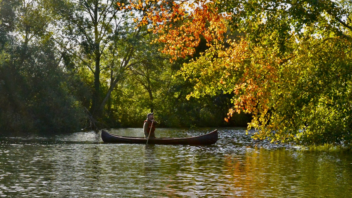 DSC_7080.JPG