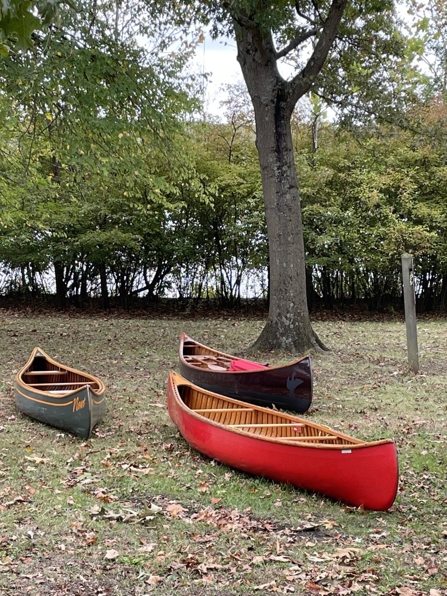 Fall canoes.jpg