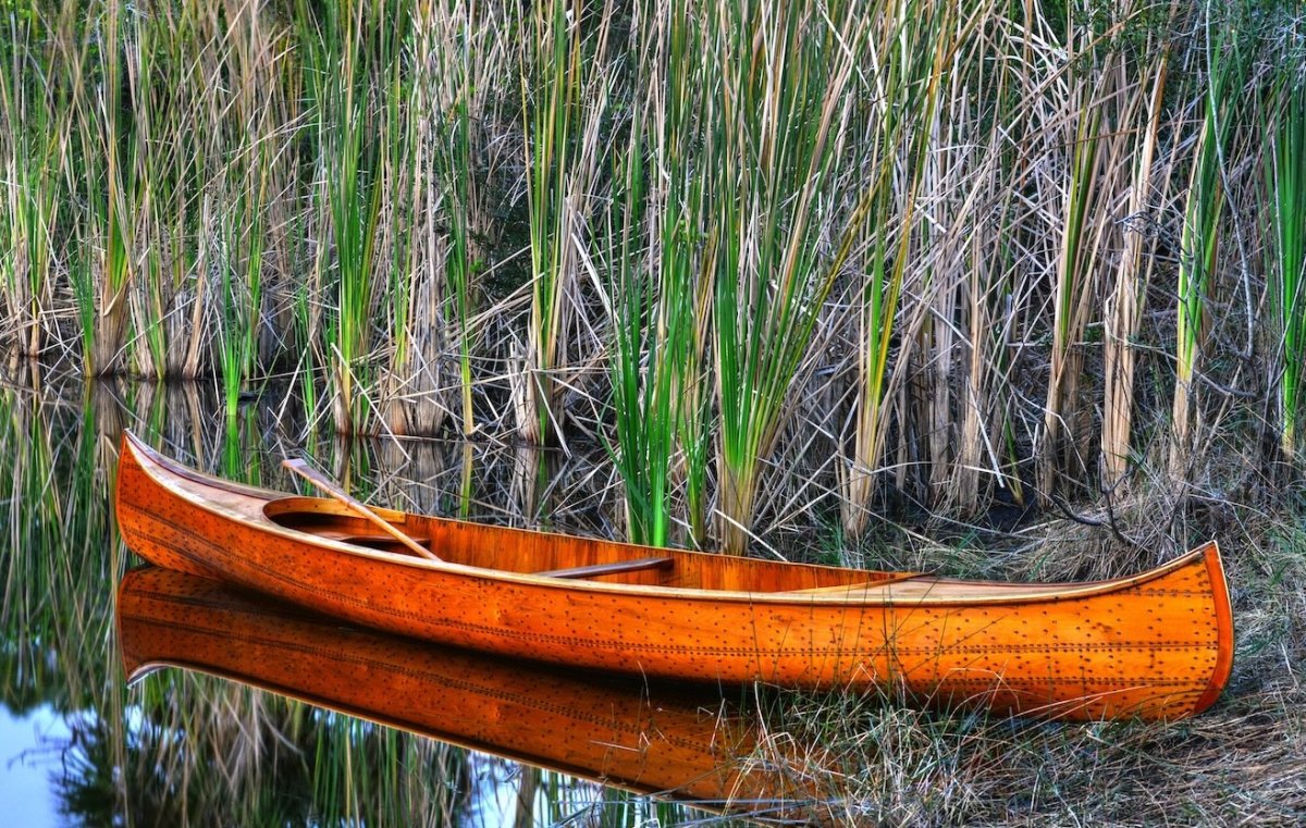 Grace_1872_Herald_d copy.jpeg