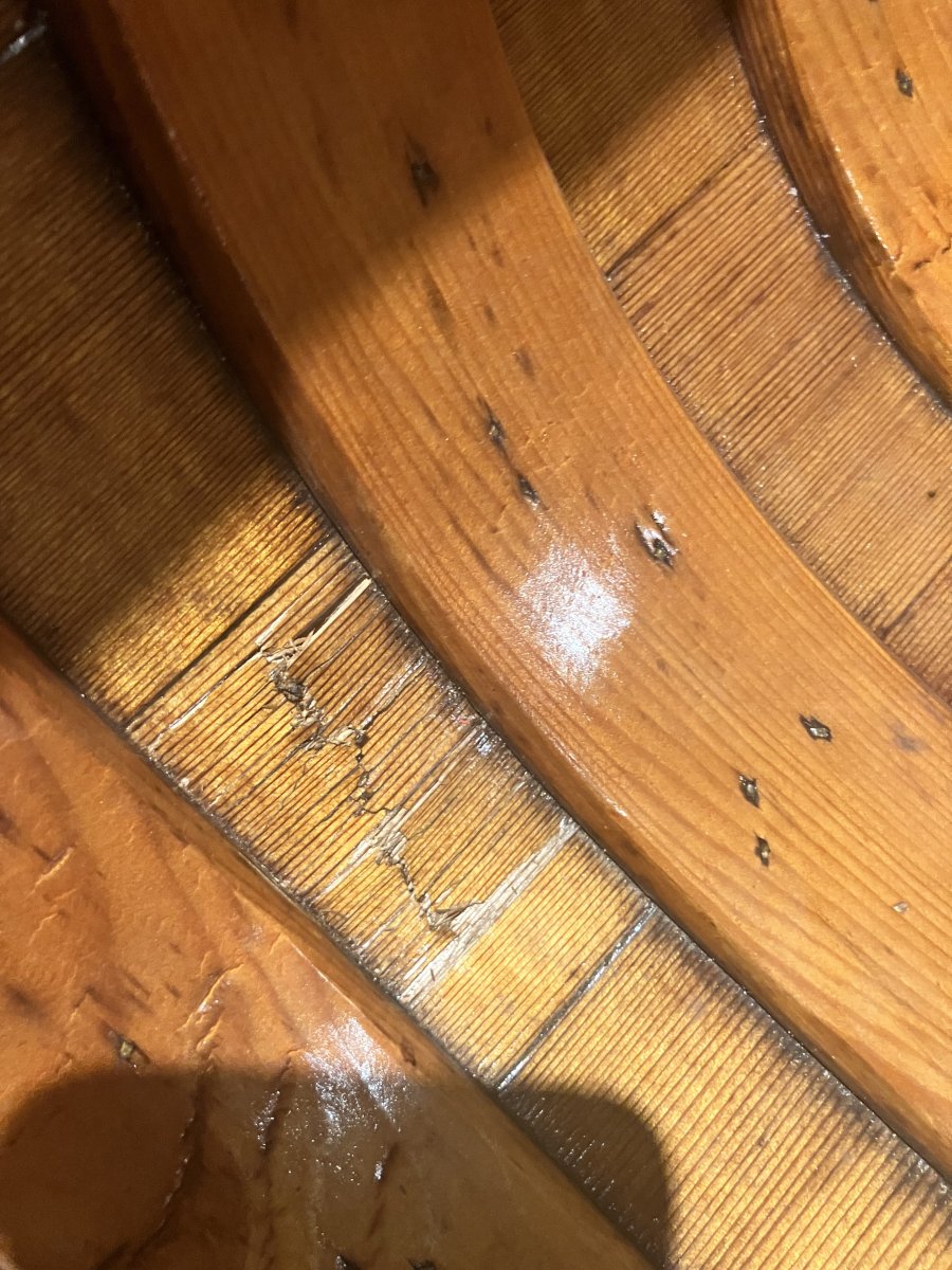 IMG_3398.jpeg