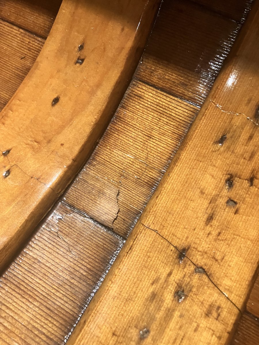 IMG_3399.jpeg