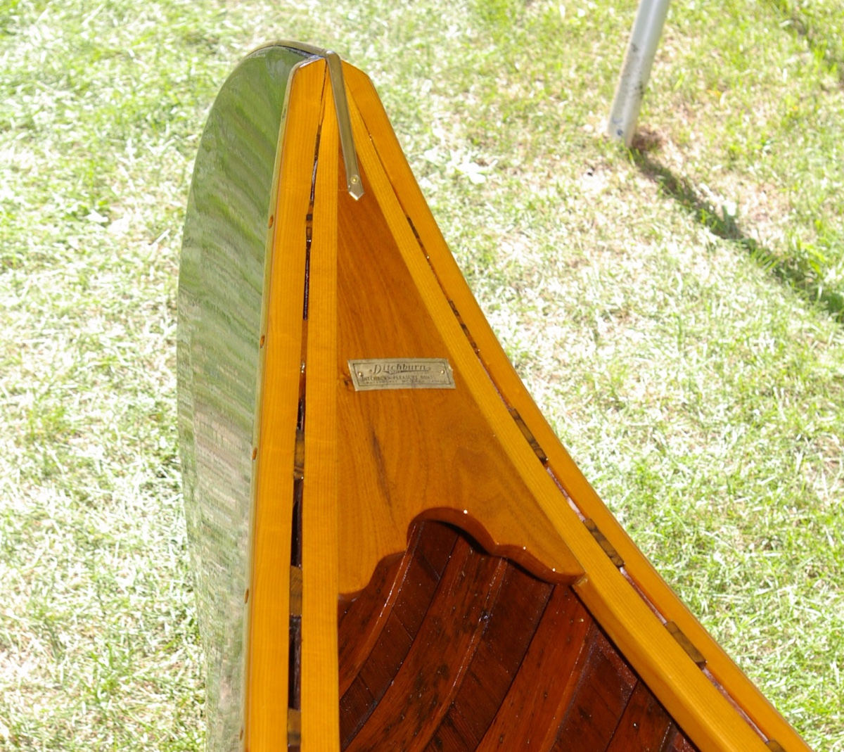 IMGP0896.jpg