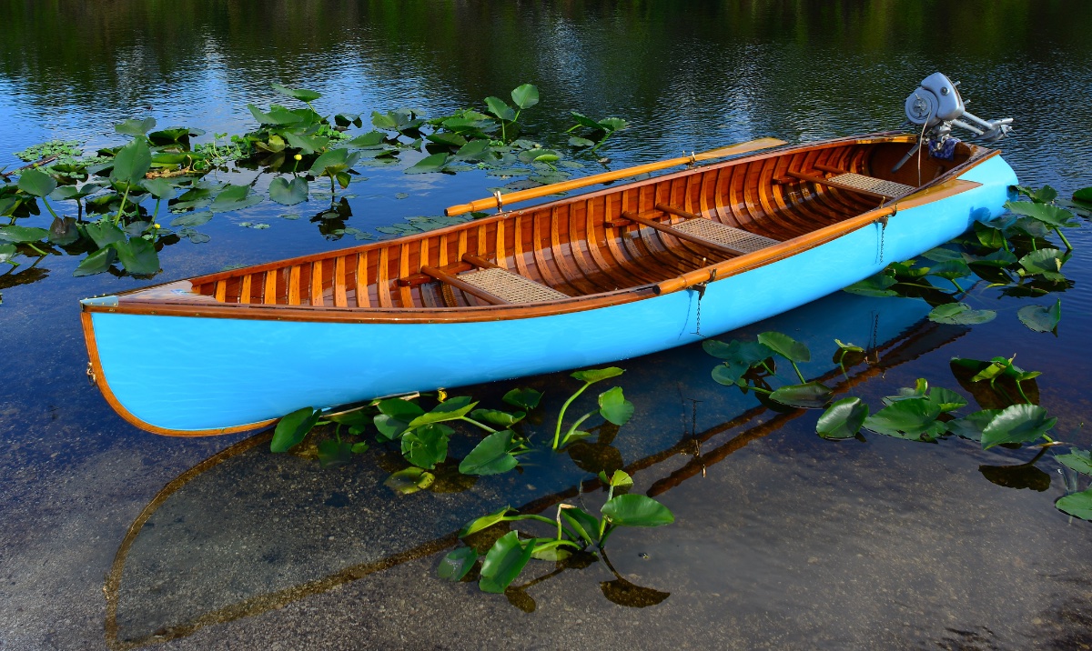 Kingfisher_5_sm.jpeg
