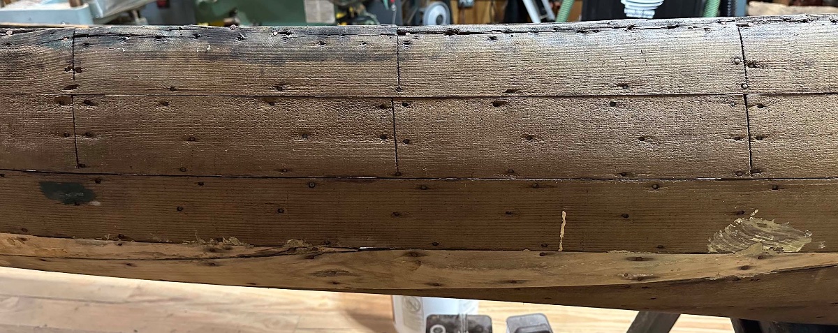 plank gores.jpg