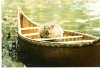 Beaver Bark Canoes.jpg