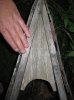 Copy of Picture 031.jpg