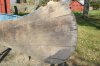 DSC00329.jpg