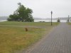 IMG_9797.jpg