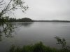 IMG_9800.jpg