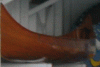 WTF2 Canoe.GIF