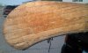 old town canoe 023.jpg