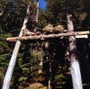 051 bear cache, morning, camp 5 - Bowron 1996.jpg