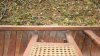 DSC08154.jpg