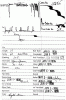 115302.gif