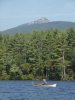 Chocorua Mountain.jpg