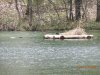 2016-05-14 12.54.56.jpg