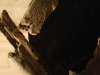 20160805_180412.jpg
