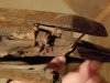 20160805_180456.jpg