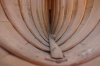 DSC00818.jpg