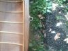 DSCN0203.JPG