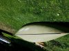 20180629_133355.jpg
