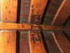 5835-bow.jpg
