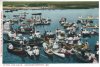 Kennebunkport-canoe-race.jpg