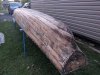 PXL_20210525_002222823.jpg