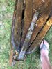 92X Bow Brass Stem and Ring pic.jpg