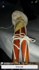 DD91CEDF-E698-435F-BD9A-80F4C871CAF7.png