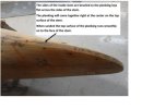 stem and planking.jpg