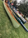 IMG_8187.jpeg