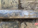 IMG_9407.jpeg