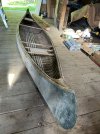 IMG_1328.jpeg