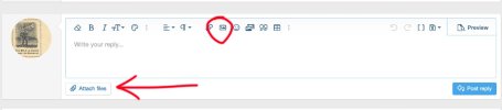 Screenshot 2025-04-02 at 5.41.04 PM.jpg