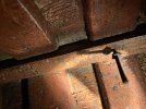 IMG_1170.jpeg