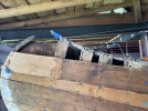 IMG_3919.jpeg