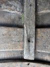 IMG_5015.jpeg