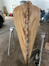 Canoe 2.jpg