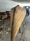Canoe 3.jpg