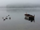 IMG_1154.jpeg