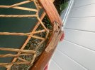 IMG_7236.jpeg