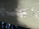 IMG_2871.jpeg