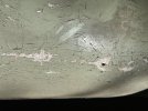 IMG_2872.jpeg